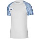 Tričko Nike Dri-FIT Academy Jsy SS M DH8031 102