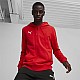 Puma Team Goal Casuals Hooded M 658595 01