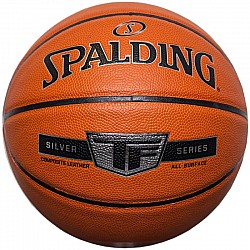 Spalding Silver TF 76859Z