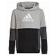 adidas Colourblock Hoodie Jr HN8563