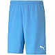 Trenky Puma teamRise Short Team M 704942 18