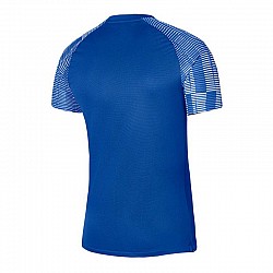 Tričko Nike Dri-Fit Academy SS M DH8031-463