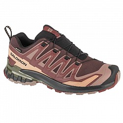 Salomon XA Pro 3D v9 GTX M L47583500
