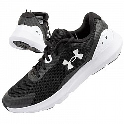 Under Armour W 3024989-001