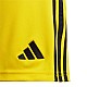 Trenky adidas Tiro 24 Jr IT2410
