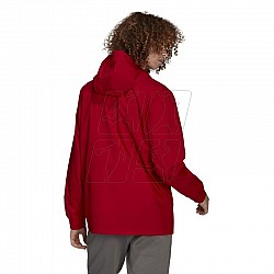 adidas Entrada 22 All-weather M HG6299