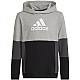 adidas Colourblock Hoodie Jr HN8563