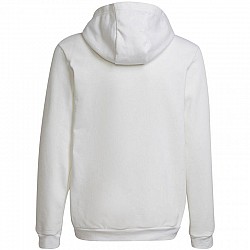 adidas Entrada 22 Hoody Jr HG6303