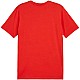 Tričko Puma Team Goal Casuals Tee M 658615 01