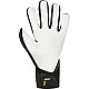 Brankárske rukavice Reusch Fastgrip Silver M 55 70 700 7707