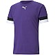 Tričko Puma teamRise Jersey M 704932 10