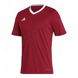 Tričko adidas Entrada 22 M H61736
