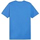 Tričko Puma Team Goal Casuals Polo M 658605 02