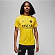 Tričko Nike PSG DF Academy Pro SS Top PM 4TH M DR4906 720