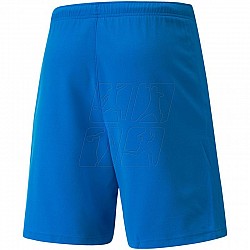Trenky Puma teamRISE Short M 704942 02