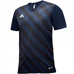 Tričko adidas Entrada 22 Graphic Jersey Jr HF0122