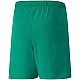 Trenky Puma teamRISE Short Jr 704943 05