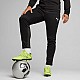 Tepláky Puma Team Goal Training M 658639 03