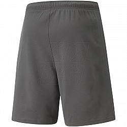 Trenky Puma teamRise Short M 704942 13