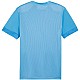 Tričko Puma teamGoal Matchday Jersey M 705747 18