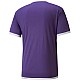 Tričko Puma teamLIGA Jersey M 704917 10