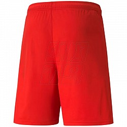 Trenky Puma teamLIGA M 704924 01