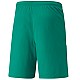 Trenky Puma teamLiga M 704924 05