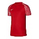 Tričko Nike Dri-Fit Academy SS M DH8031-657