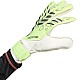 Brankárske rukavice adidas Predator Training M JN5356