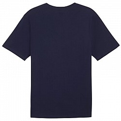 Tričko Puma Team Rise Logo Jersey Cotton M 658705 06