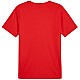 Tričko Puma teamRISE Matchday Jersey M 706132 01