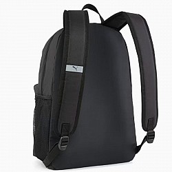 Pleack Puma Phase 091164-01