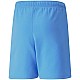 Trenky Puma teamRise Short Jr 704943 18
