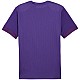 Tričko Puma teamGoal Matchday Jersey M 705747 10