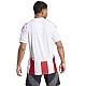 Tričko adidas Striped 24 JSY M IW2142