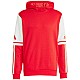 adidas Squadra 25 Sweat M JD2973