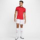Tričko Nike Academy 25 SS Top M FZ9754 657