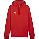 Puma Team Goal Casuals Hoody M 658618 01
