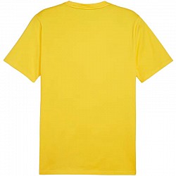 Tričko Puma Team Goal Casuals Tee M 658615 07