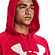 Under Armour Rival Fleece Big Logo HD M 1357093 600