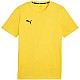 Tričko Puma Team Goal Casuals Tee M 658615 07