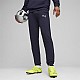 Tepláky Puma Team Goal Casuals M 658598 06