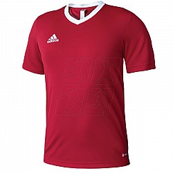 Tričko adidas Entrada 22 M H61736