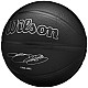 Wilson NBA Player Evergreen Bskt Lebron WZ4026801XB