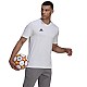 Tričko adidas Entrada 22 Tee M HC0452