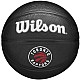 Wilson Team Tribute Toronto Raptors Mini Ball WZ4017608XB