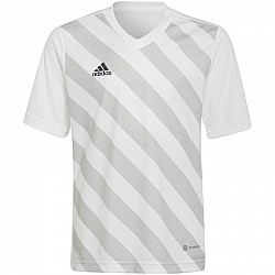 Tričko adidas Entrada 22 Graphic Jersey Jr HF0120