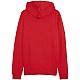 Puma Team Goal Casuals Hooded M 658595 01