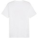 Tričko Puma Graphics Summer Sports Tee II M 627909 02