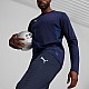 Tepláky Puma Team Goal Training M 658639 06